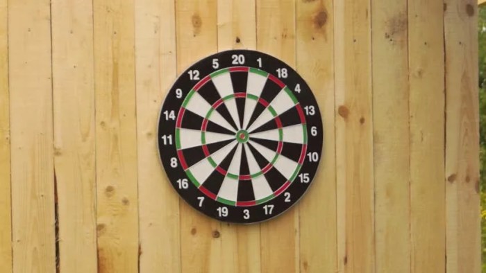 Darts adapt throwing isn