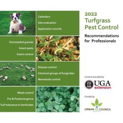 Ornamental and turfgrass pest management