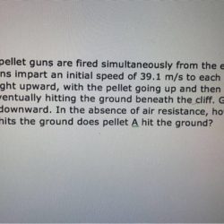 Two identical pellet guns are fired simultaneously