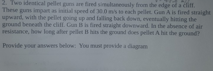 Two identical pellet guns are fired simultaneously