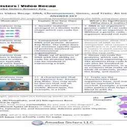 Amoeba sisters dna chromosomes genes and traits answer key