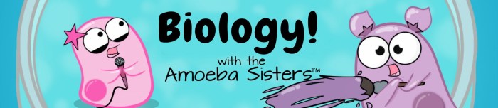 Amoeba sisters dna chromosomes genes and traits answer key